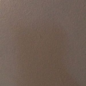 Meet your Posher, Ron